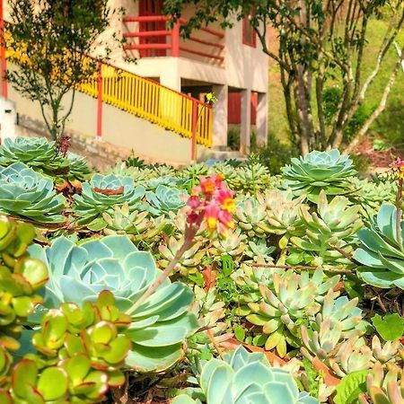 Sitio Dos Palmitos - Casa Pupunha 호텔 페드라 아줄 외부 사진